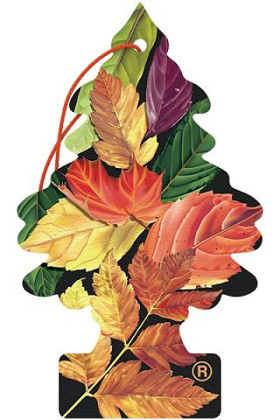 AIR FRESHNER CRISPY AUTUMN AIR 24CT