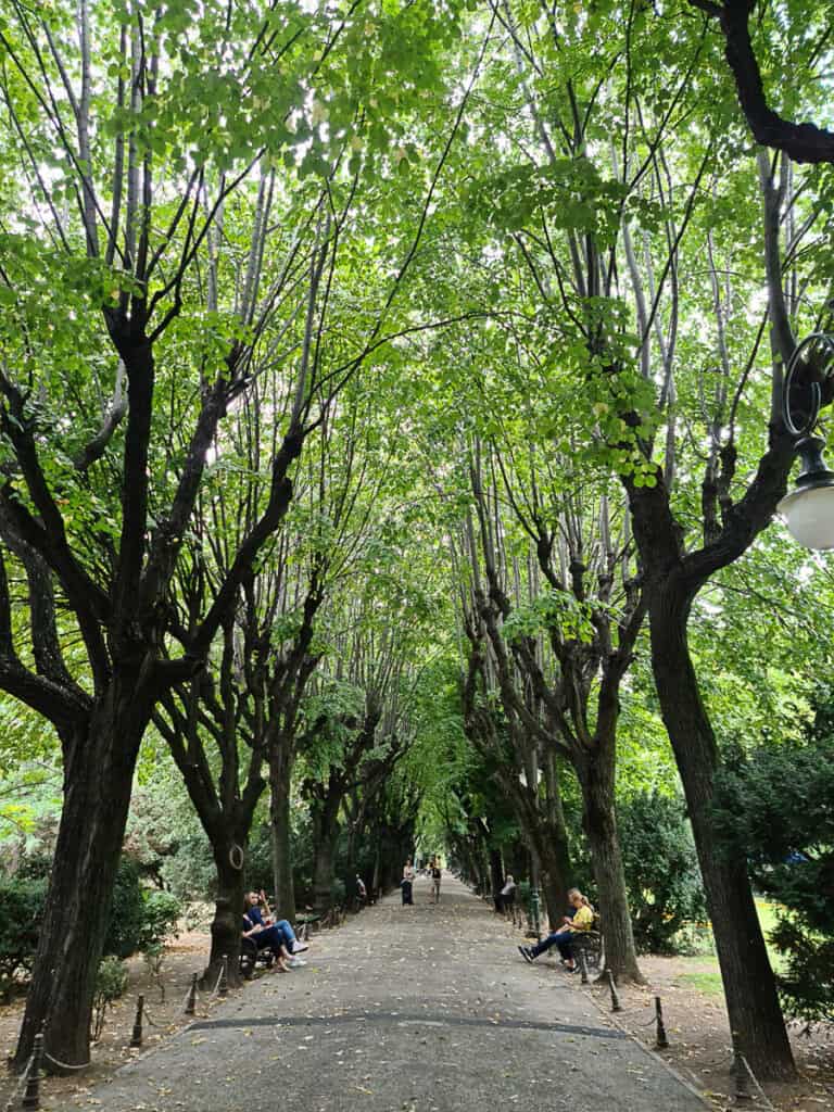 An alley in Cismigiu Gardens