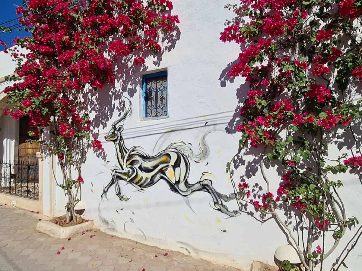 Bright mural of a gazelle and vibrant bougainvillea on a white wall in Djerbahood, a street art village in Djerba and a must-see place to visit in Tunisia for art lovers.