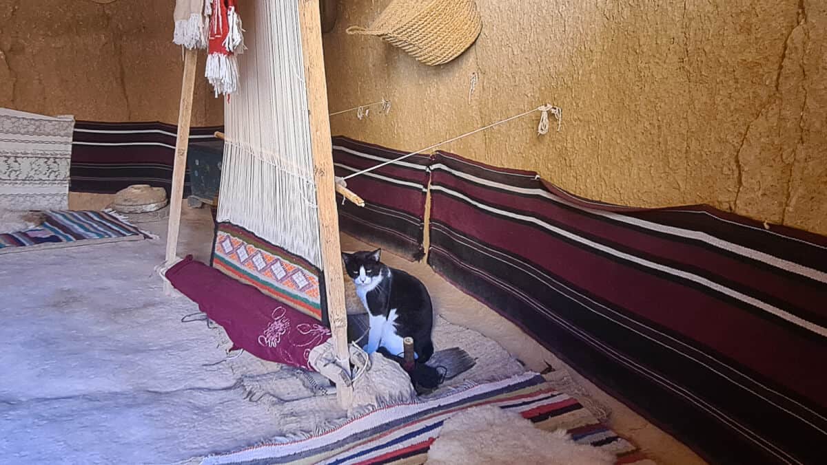 Traditional loom and a black-and-white cat inside a troglodyte house in Matmata – a glimpse into Berber heritage and one of the most unique places to visit in Tunisia.