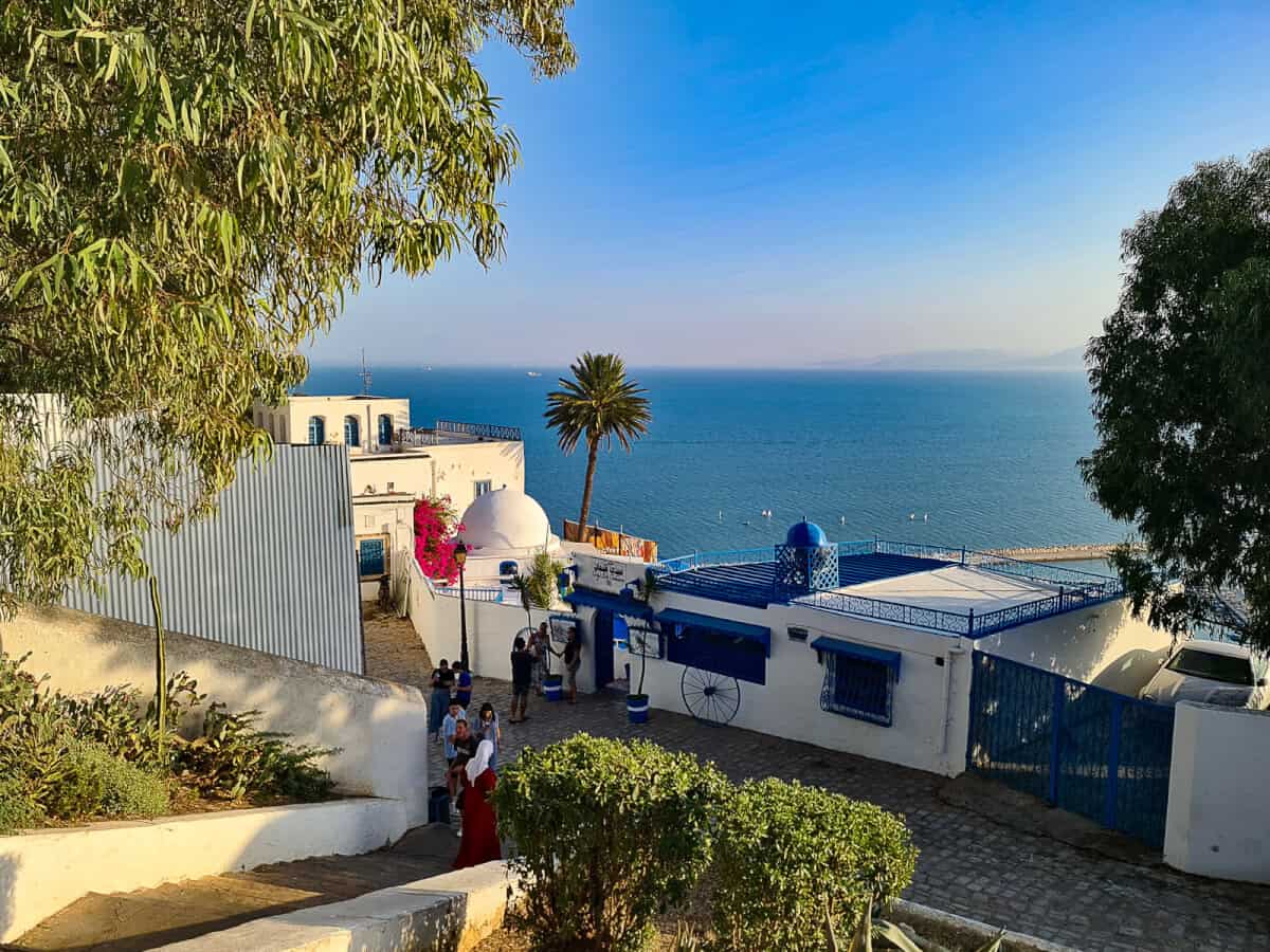 Stunning sea view from the clifftop village of Sidi Bou Said in northern Tunisia, featuring white-and-blue architecture overlooking the Mediterranean Sea – a picture-perfect place to visit in Tunisia.