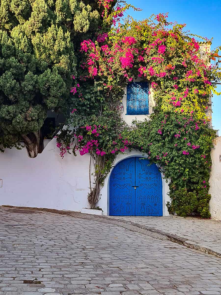 STraditional white house with ornate blue doors and windows covered in bougainvillea in Sidi Bou Said, one of the most picturesque places to visit in Tunisia.