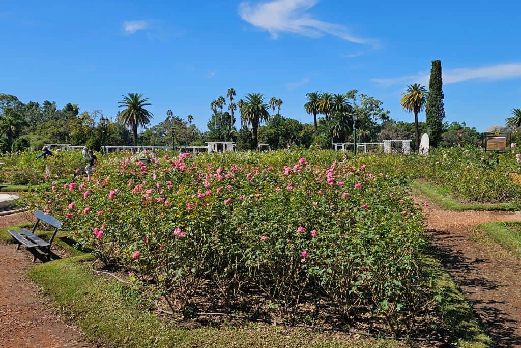The Rosedal is part of Tres de Febrero Park in Palermo Buenos Aires