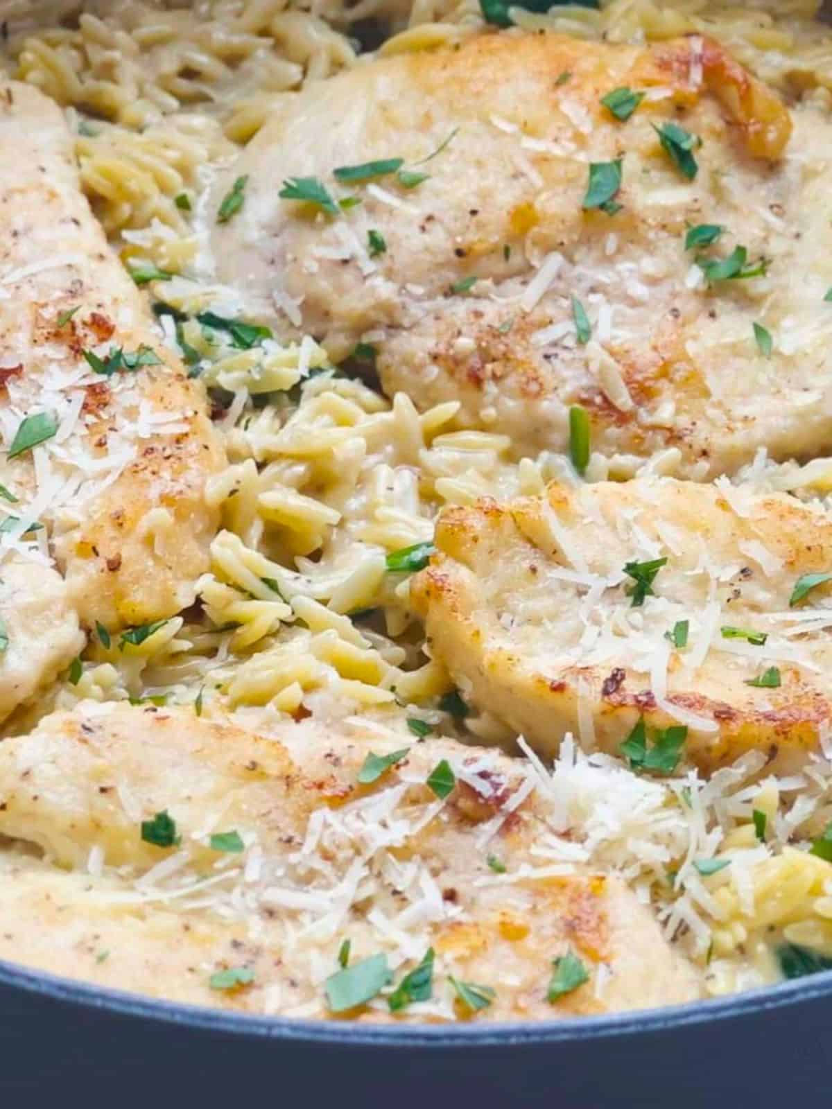 Creamy lemon orzo pasta topped with sliced chicken breast and chopped parsley.