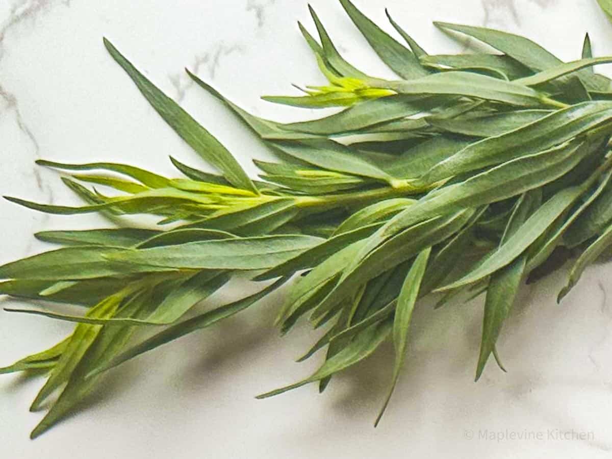 A bunch of tarragon leaves