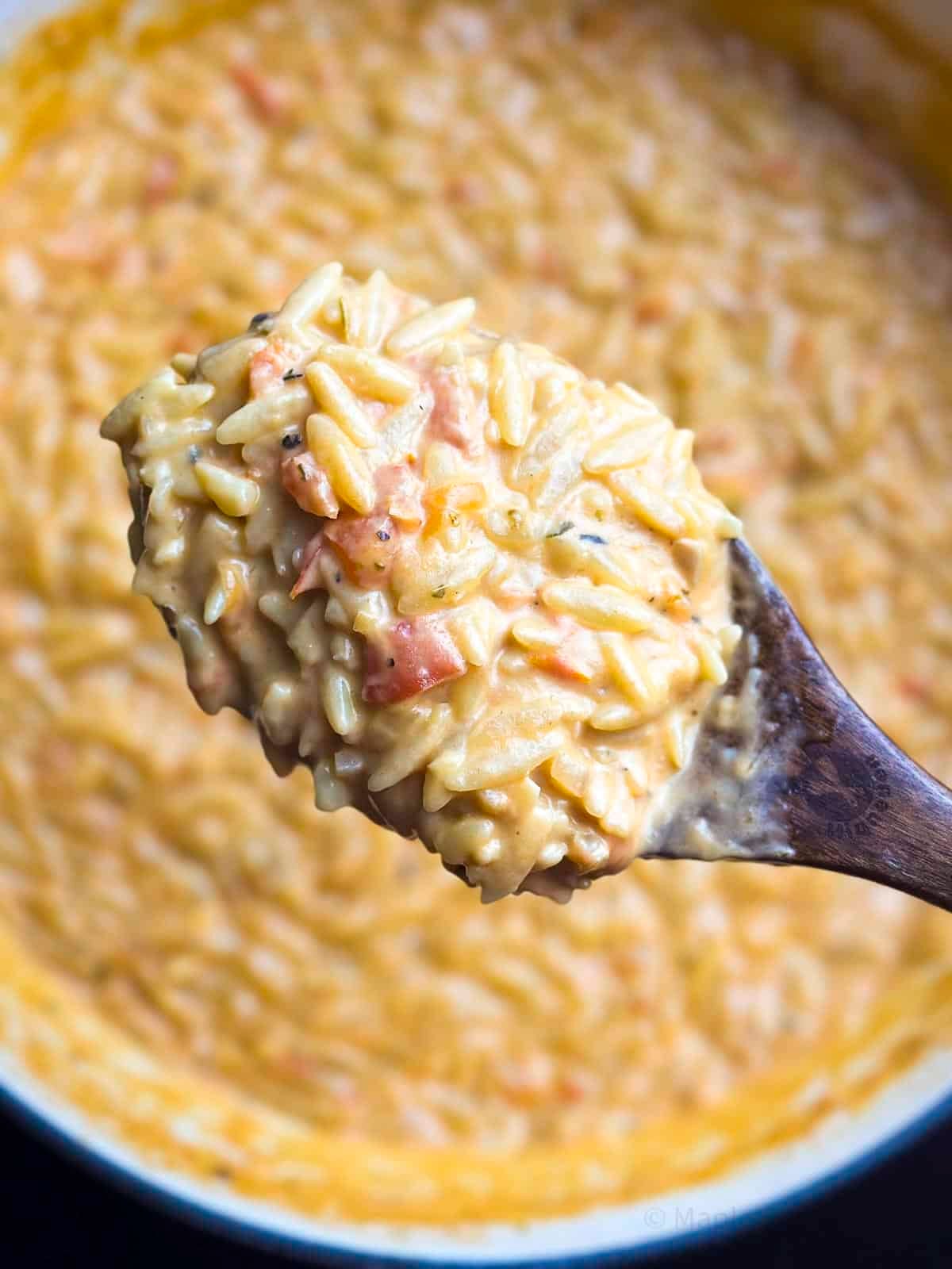 Creamy tomato orzo on a spoon above a pot of the orzo pasta.