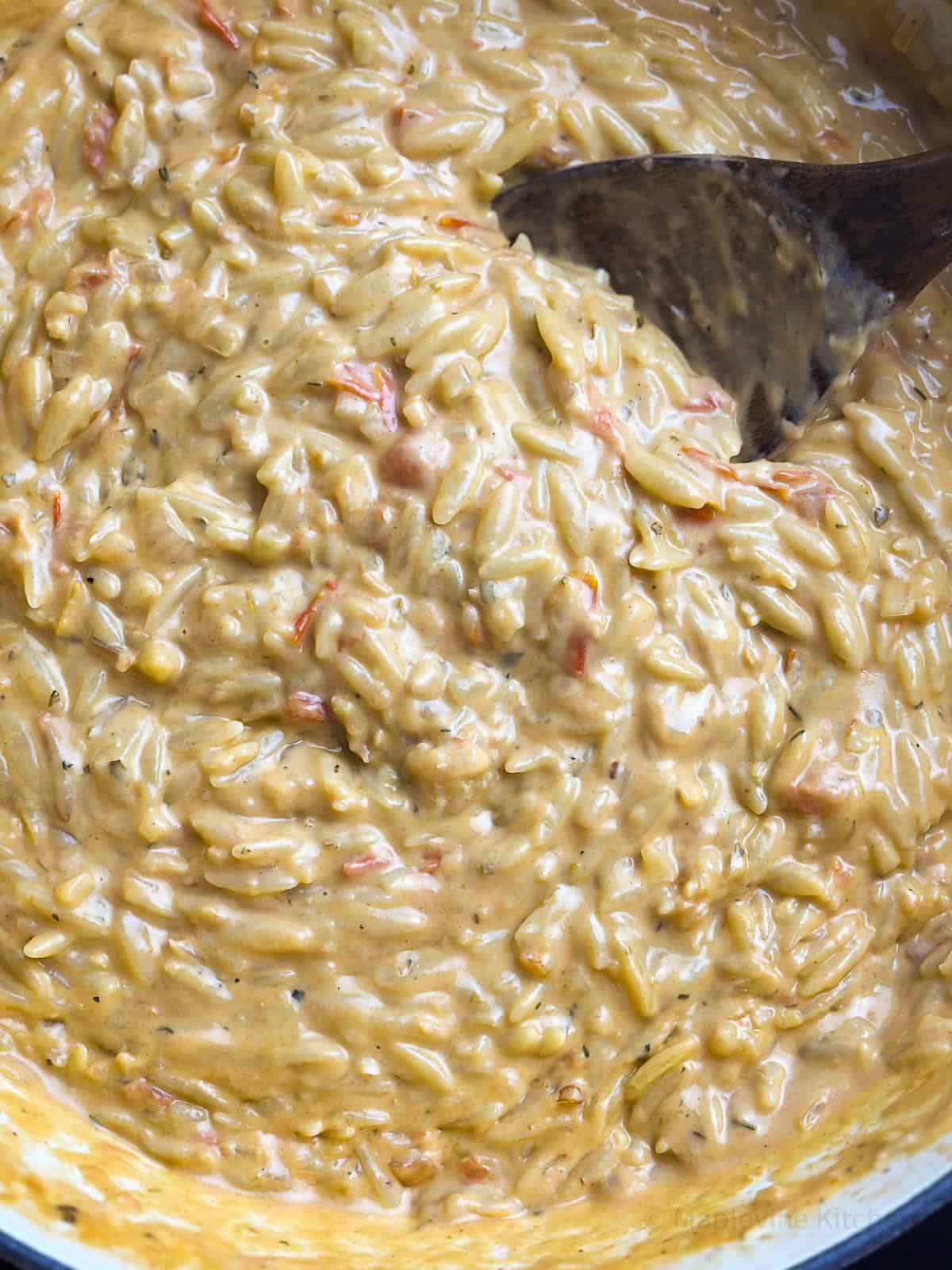 Close up shot of creamy orzo pasta.