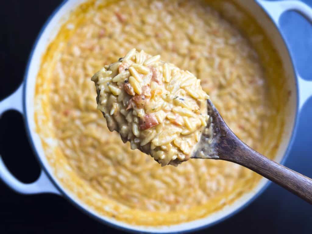 Creamy tomato orzo pasta in a Dutch oven and on a wooden spoon.