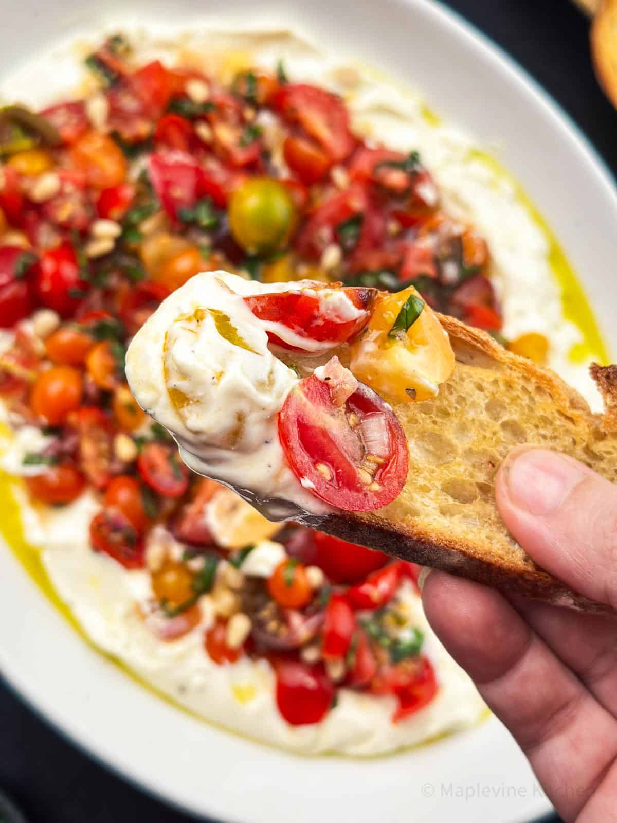 Fresh tomato bruschetta with colorful cherry tomatoes, basil, and olive oil, served on toasted bread.