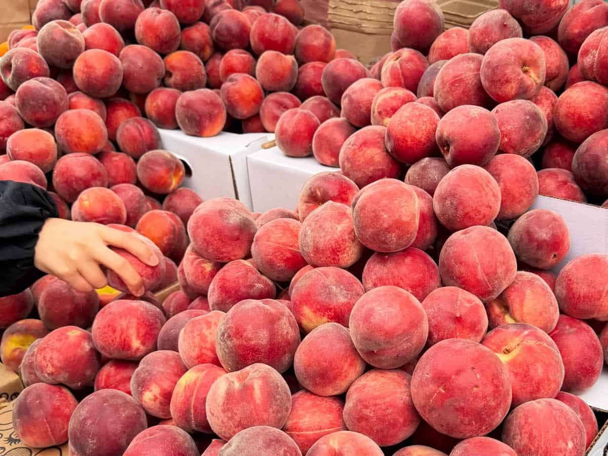 Lots of peaches at a farmer's market stall with a hand grabbing a peach.