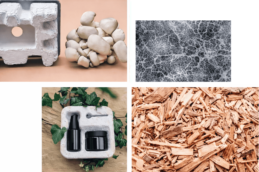 Eco-friendly Packaging Case Study Banner Image