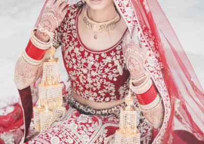 cinecrown-indian-wedding-photographer-bride-portrait-arden-hill