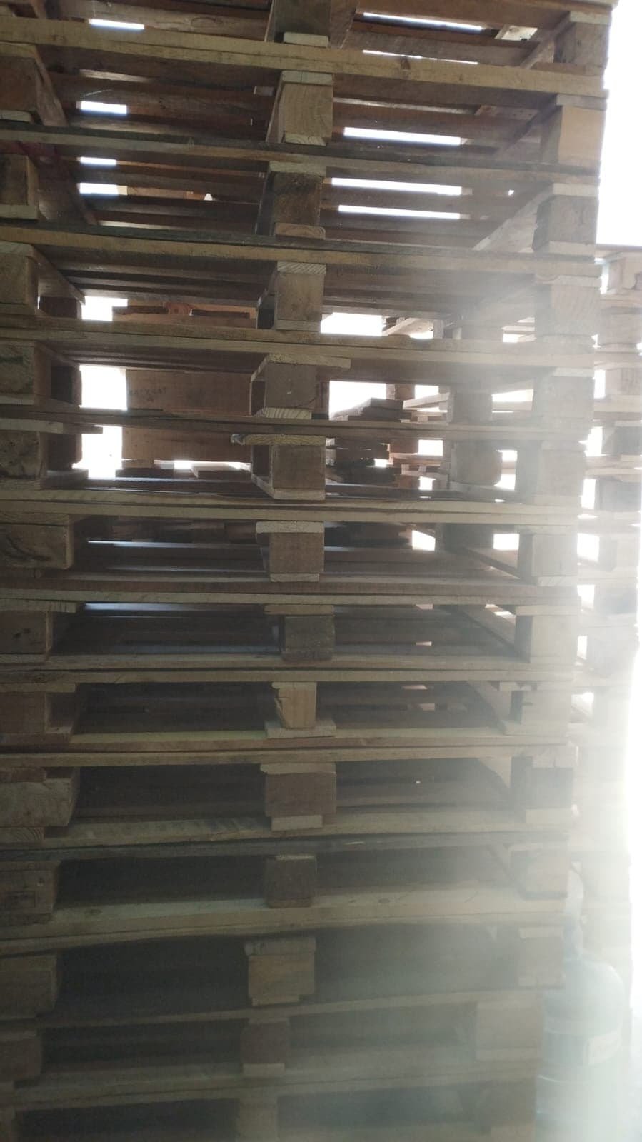 Tarimas de Madera en El Mante