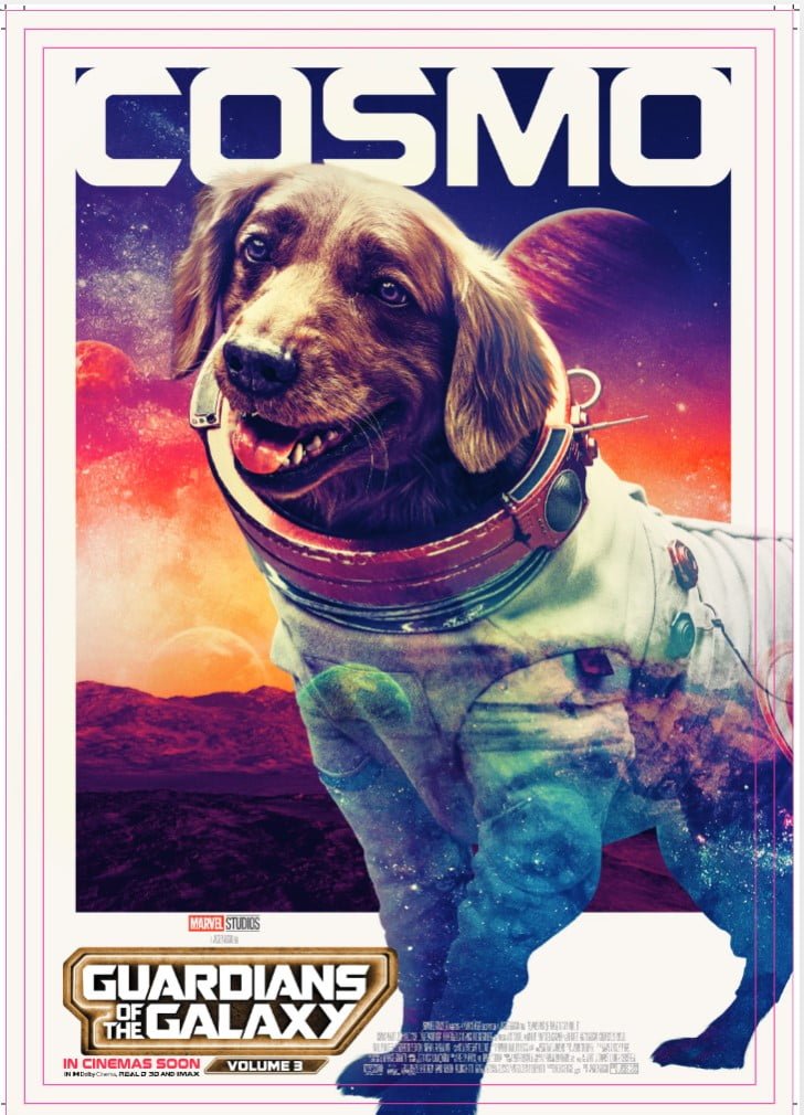 Guardians of the Galaxy Vol. 3 Posters