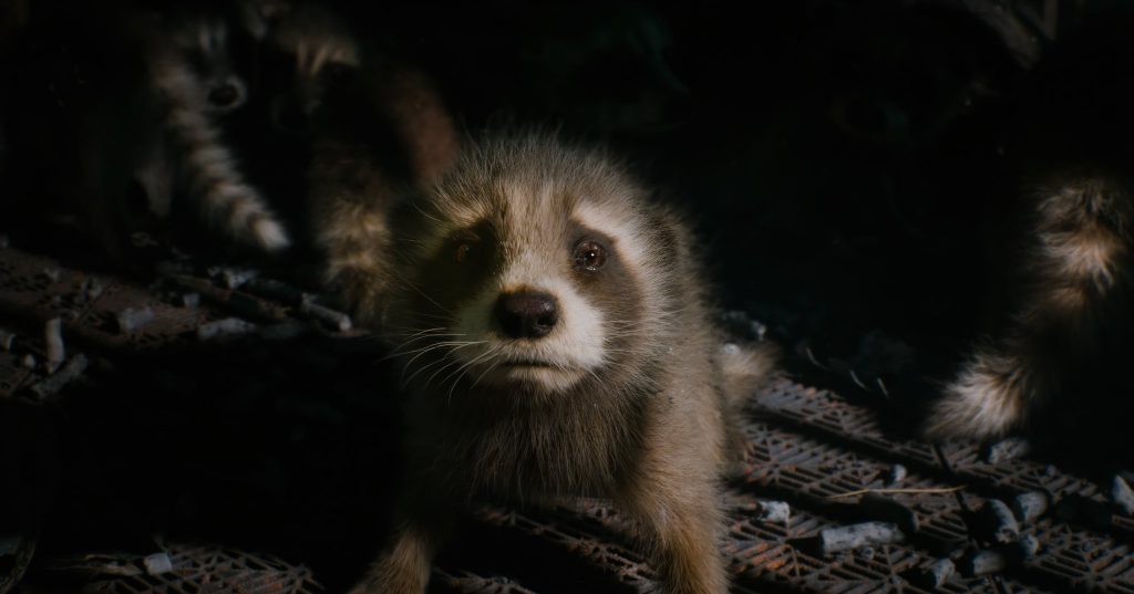 The New Guardians of the Galaxy Vol. 3 Synopsis Reveals Rocket’s past