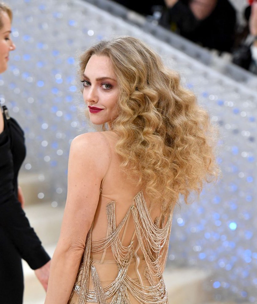 Amanda Seyfried Shared Her Thoughts On A Potential WGA Strike