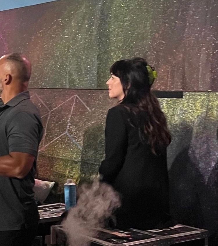 Dakota Johnson and Brother Jesse Attend Coldplay Concert in Amsterdam