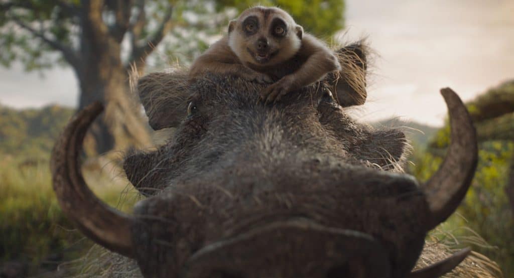 Timon and Pumbaa