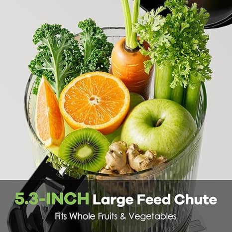 Bright fresh vegetables and fruits including kale orange green apple kiwi celery carrot and ginger showcasing healthy ingredients used in Meals in Motions large feed chute blender