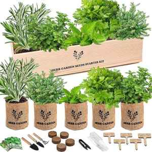 Herb garden seeds starter kit with potted herbs and gardening tools, ideal for creating a home herb garden, perfect for kitchen, balcony, or outdoor gardening, eco-friendly and easy to grow.