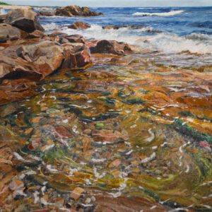 Cape Ann Shoreline insitu small frame