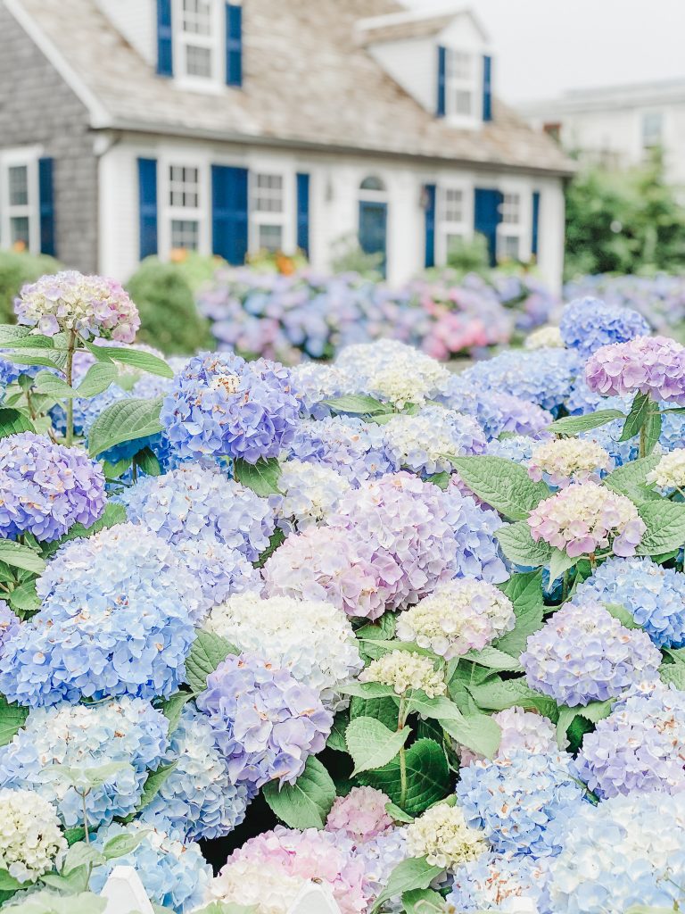 Visiting Cape Cod? Want to know how to spend a day in Provincetown? Located at the northernmost tip of Cape Cod, Provincetown is perfect for a day trip!