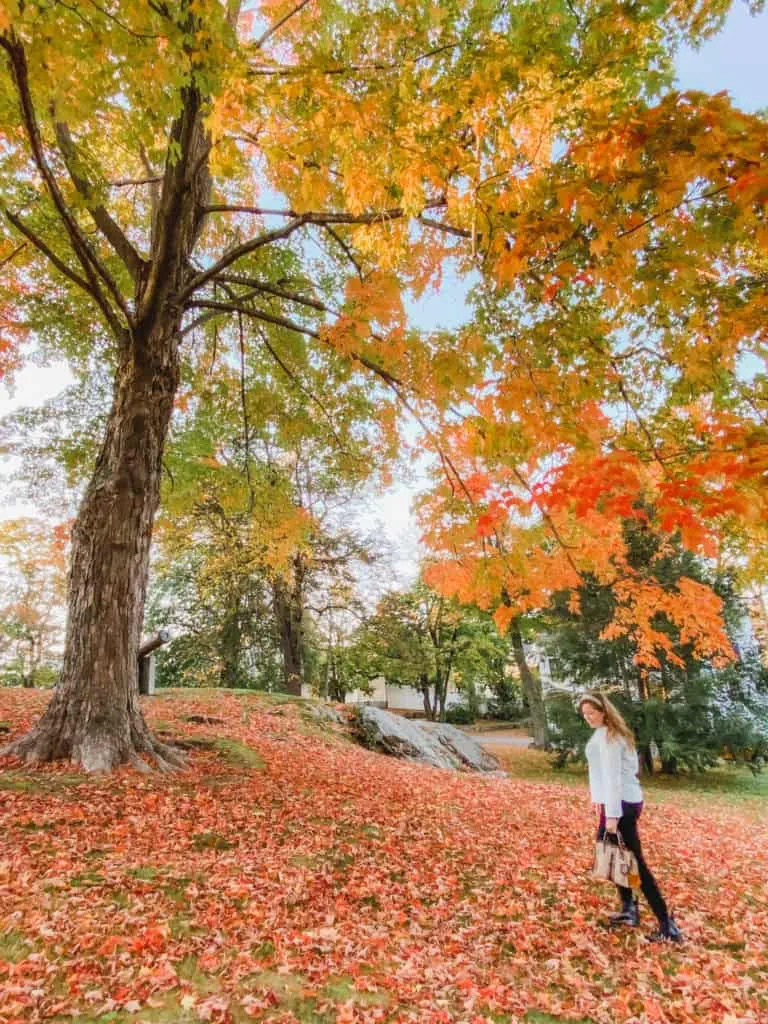 Planning a trip to New England in the fall? Here are the best things to do in New England in the fall.