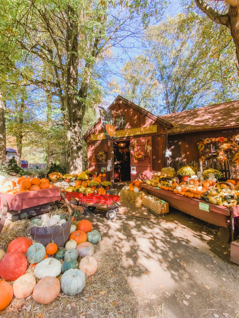 Planning a trip to New England in the fall? Here are the best things to do in New England in the fall.