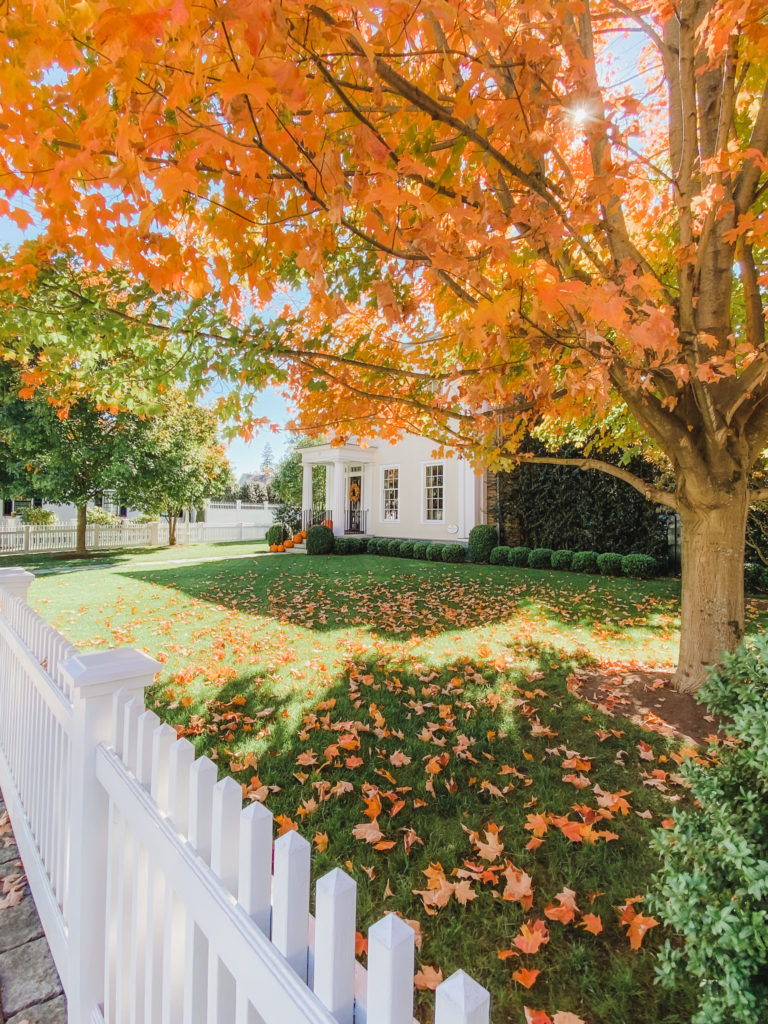 Planning a trip to New England in the fall? Here are the best things to do in New England in the fall.