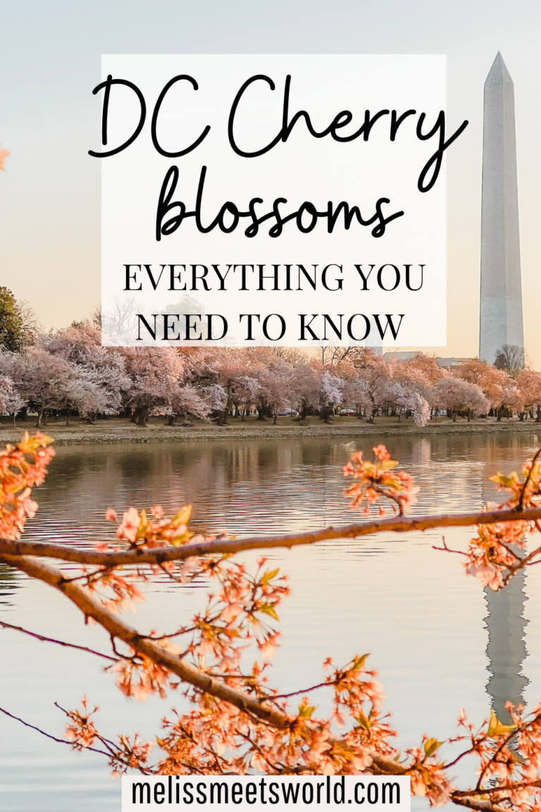 Here's your perfect Washington DC 3 day itinerary, and my biggest advice? Plan your trip early and during cherry blossom season!