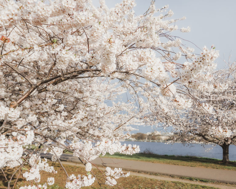 One of the best places to visit during the New England spring season
