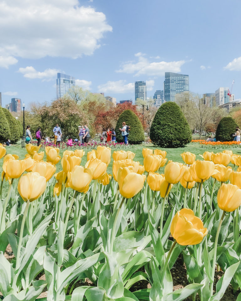 One of the best places to visit during the New England spring season