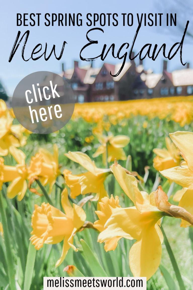 One of the best places to visit during the New England spring season