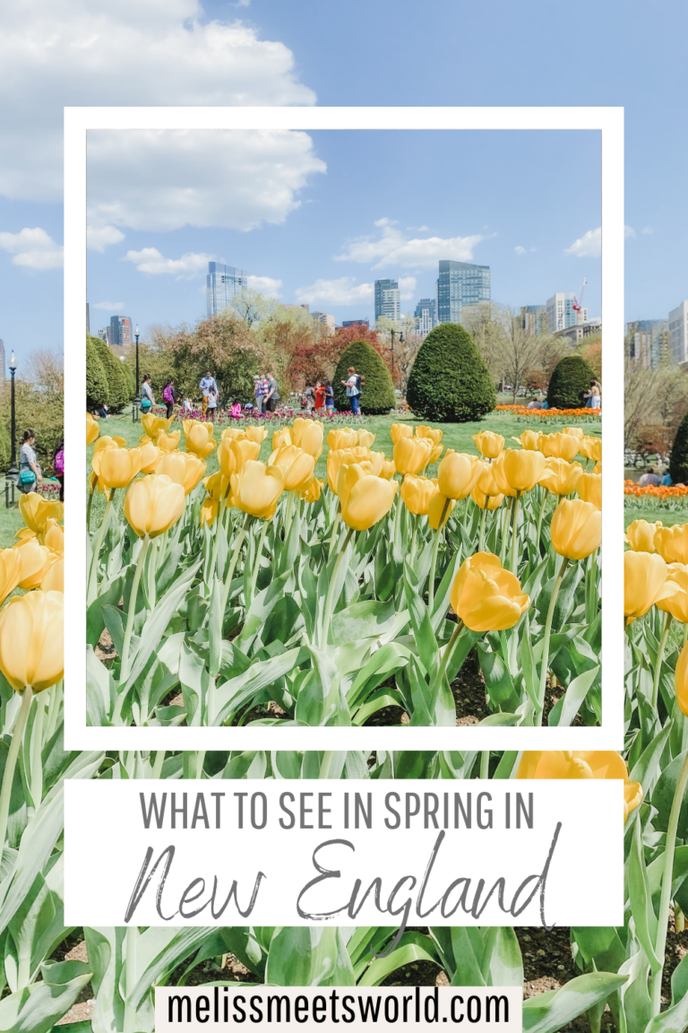 One of the best places to visit during the New England spring season
