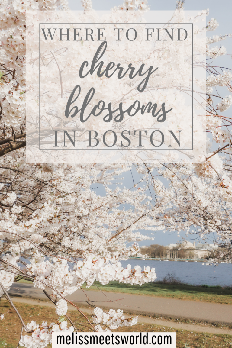One of the best places to visit during the New England spring season