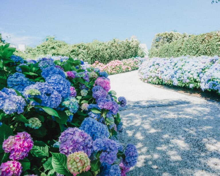 best things to do in Nantucket