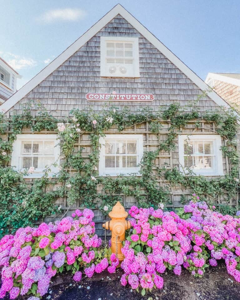 best things to do in Nantucket