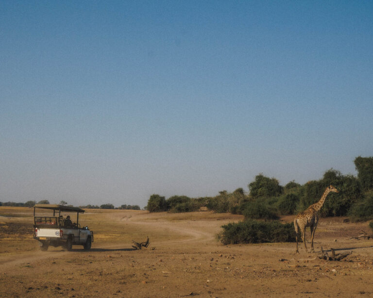 Planning a trip to Africa and it's your first time visiting? Keep reading for are all the best places to visit in Africa for first timers!