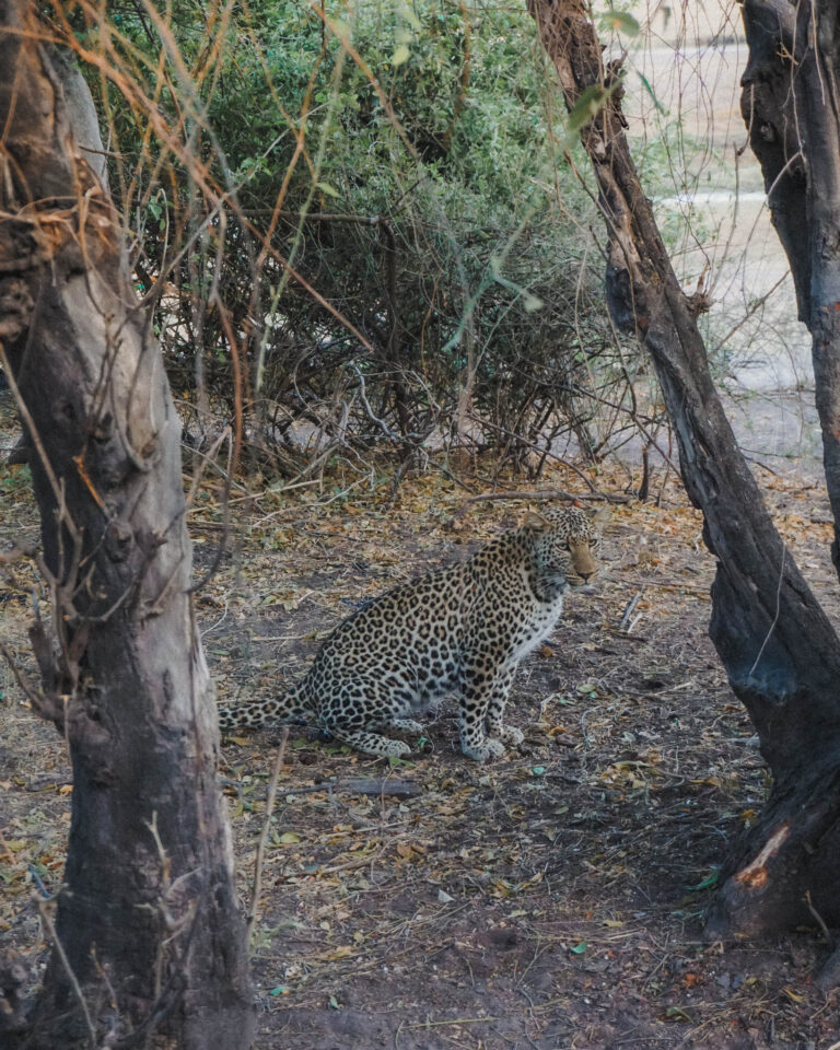 Planning a trip to Africa and it's your first time visiting? Keep reading for are all the best places to visit in Africa for first timers!