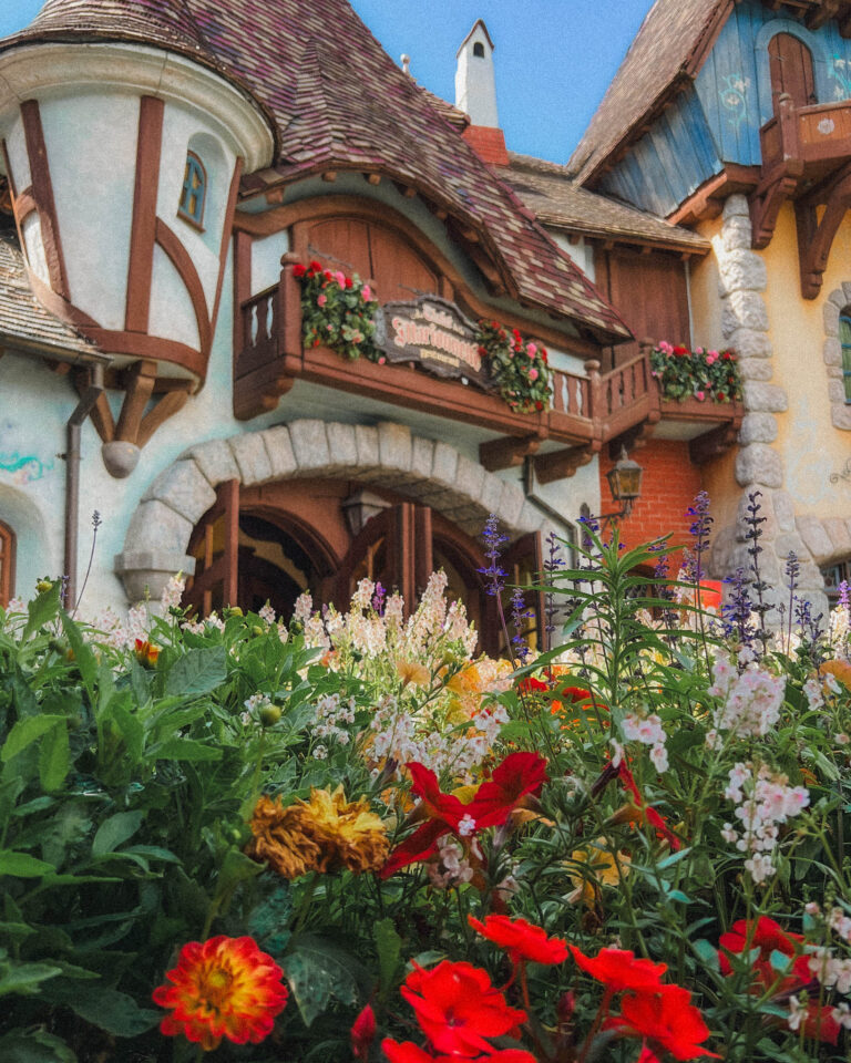 Keeping reading for the opening times Disneyland Paris and how to completely maximize your stay at one of the most magical places on earth!