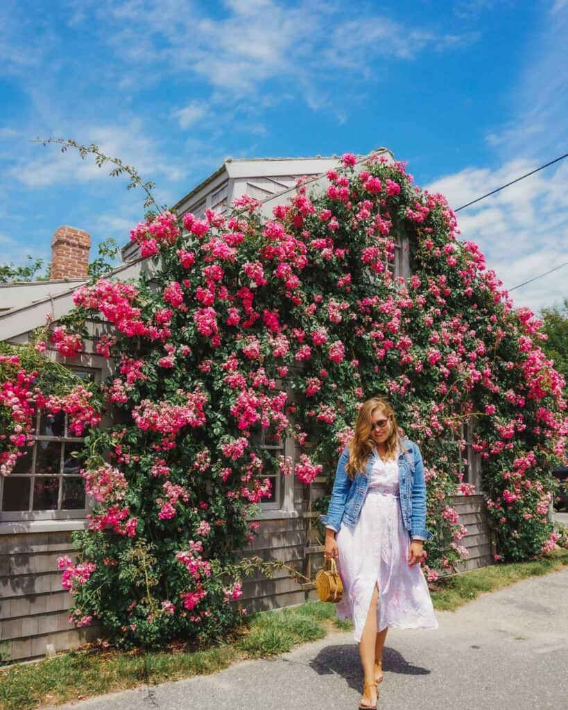 This is one of the most beautiful houses in Sconset, it is covered in roses when they bloom at the end of June. This shows how lovely the village or town of Sconset is and why you should absolutely visit it when visiting Nantucket.
