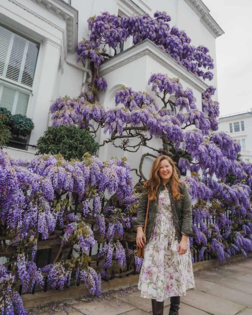 London is known for its wisteria, and you can see it plentiful here cascading down a beautiful white facade almost three stories in the posh Kensington neighborhood.