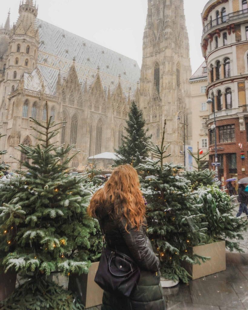 This view of one of the Vienna Christmas markets Stephansplatz at St. Stephen's Cathedral you can find across the street, where lit Christmas trees surround the small square.