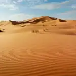 Ubutayu bwa Sahara