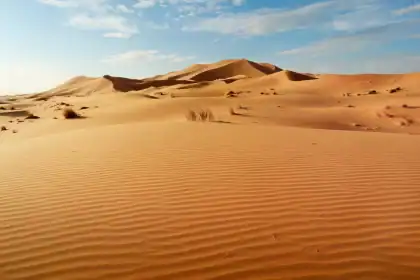 Ubutayu bwa Sahara