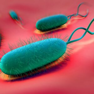 H. Pylori Infection.