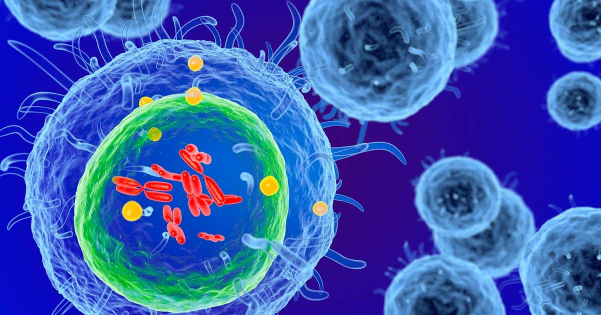 effects of alcohol on your immune system
