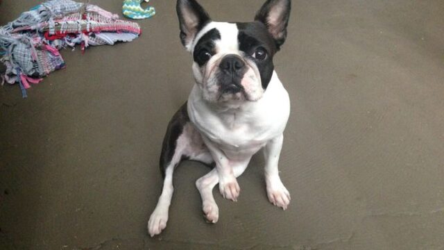 Anouk