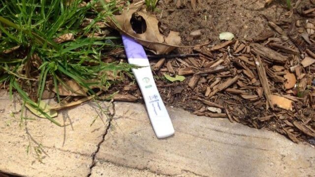 I found this in the park today. As I was taking the picture, a guy walking by me laughed and said, “Awesome.”