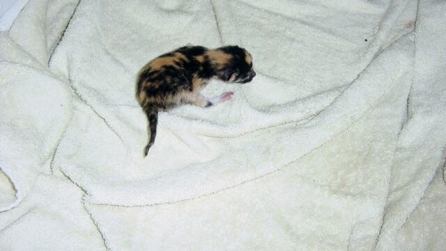 I took this picture 20 years ago today.